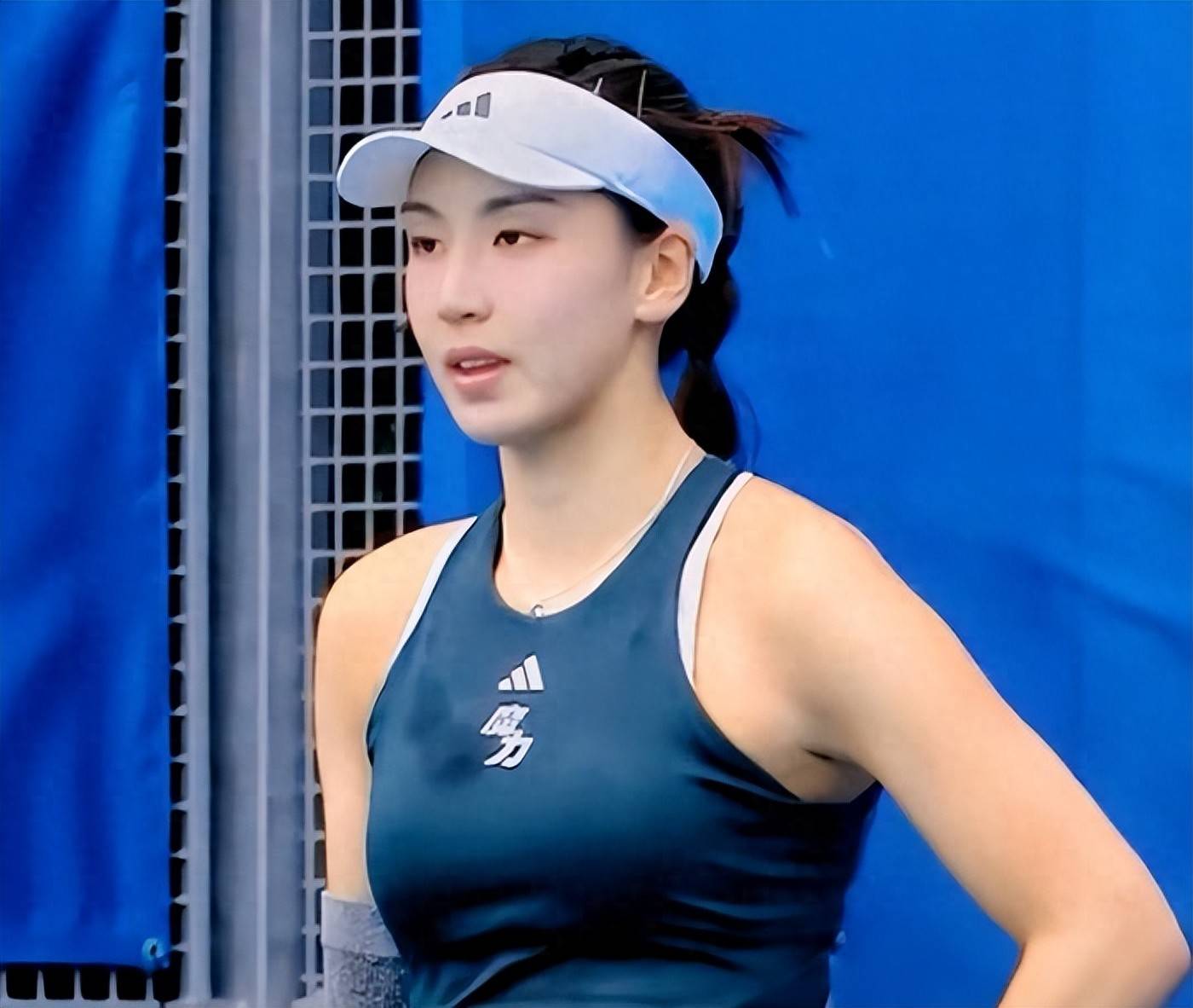 影响力和执 影响力和执